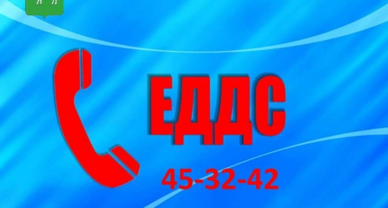 Телефон Единой дежурно-диспетчерской службы +7 (4942) 45-32-42
