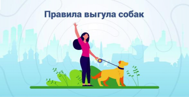Новый правила выгула домашних животных