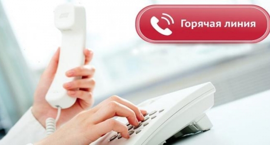 Горячая линия 07.02.2023