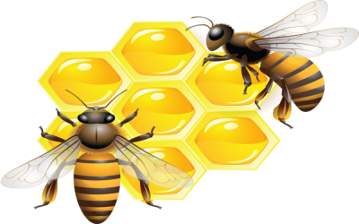 ПАМЯТКА ВЛАДЕЛЬЦАМ ПАСЕК