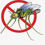 Лихорадка Западного Нила.